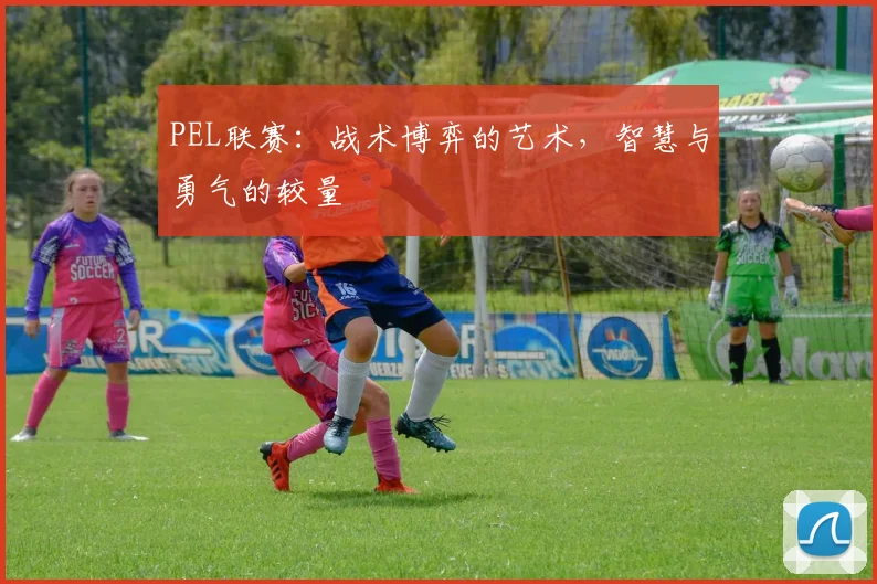 PEL联赛：战术博弈的艺术，智慧与勇气的较量