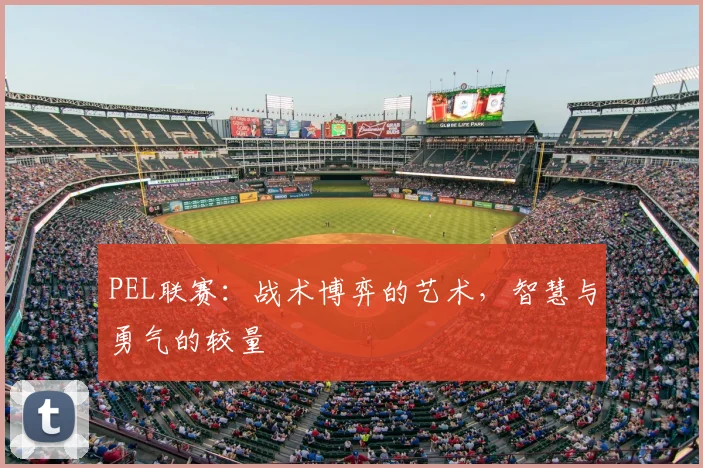 PEL联赛：战术博弈的艺术，智慧与勇气的较量
